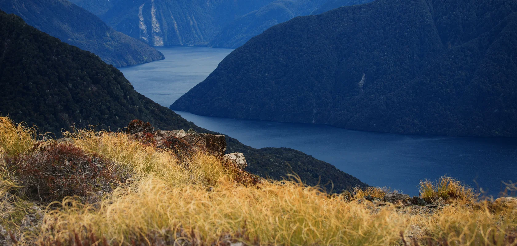 Fiordland fiord and mountain landscape, New Zealand
