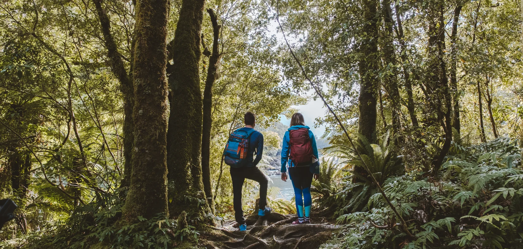 Hikers taking in the views at Lake Ada, Milford Track Day Walk at Milford Sound